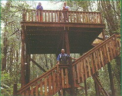 Elevated viewing platform in Yarndley's Bush